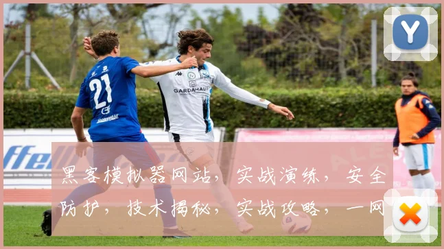 黑客模拟器网站，实战演练，安全防护，技术揭秘，实战攻略，一网打尽